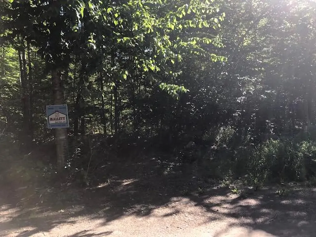 0 Flag Cove Road Bowerbank ME 04426