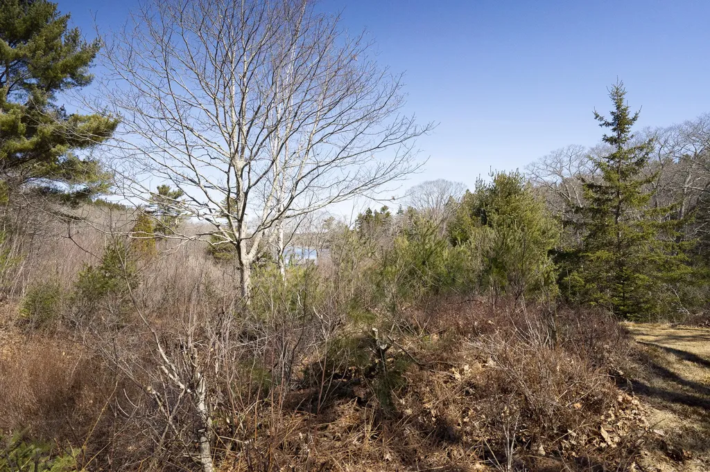 P/o 4-1 Cameron Point Road Southport ME 04576