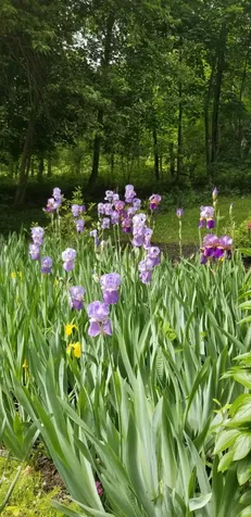1522 Pushaw Road Glenburn ME 04401