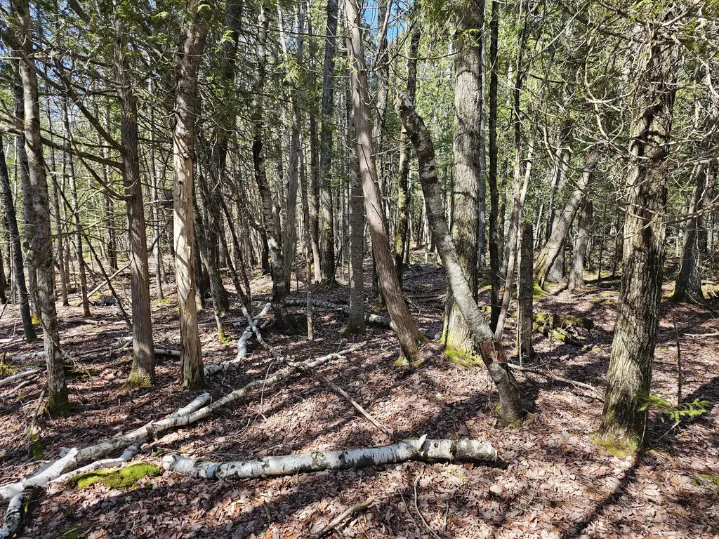83 Willey District Road Harrington ME 04643