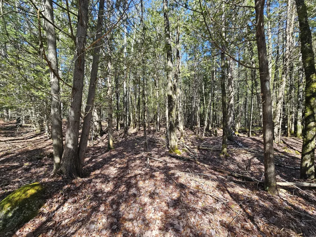 83 Willey District Road Harrington ME 04643