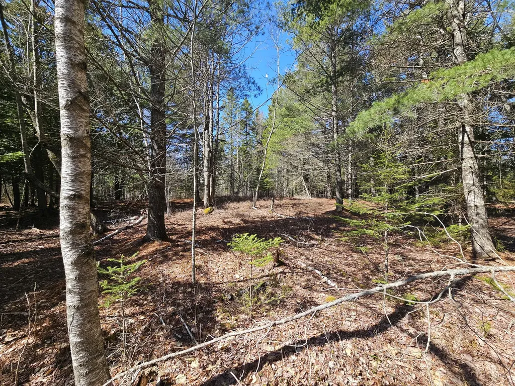 83 Willey District Road Harrington ME 04643