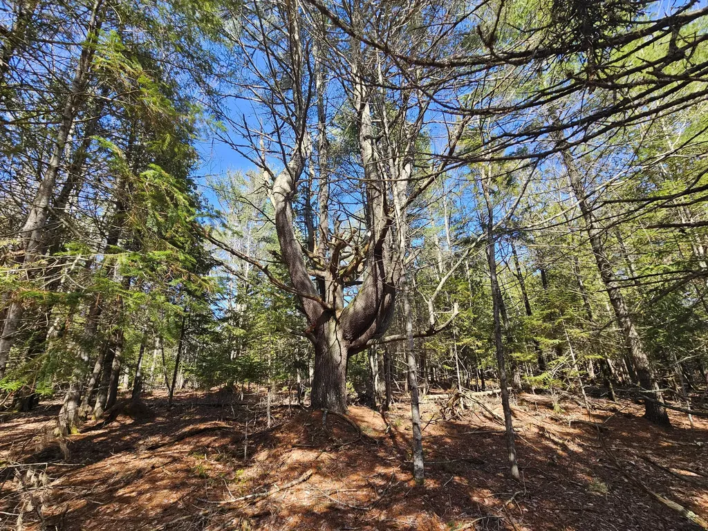 83 Willey District Road Harrington ME 04643