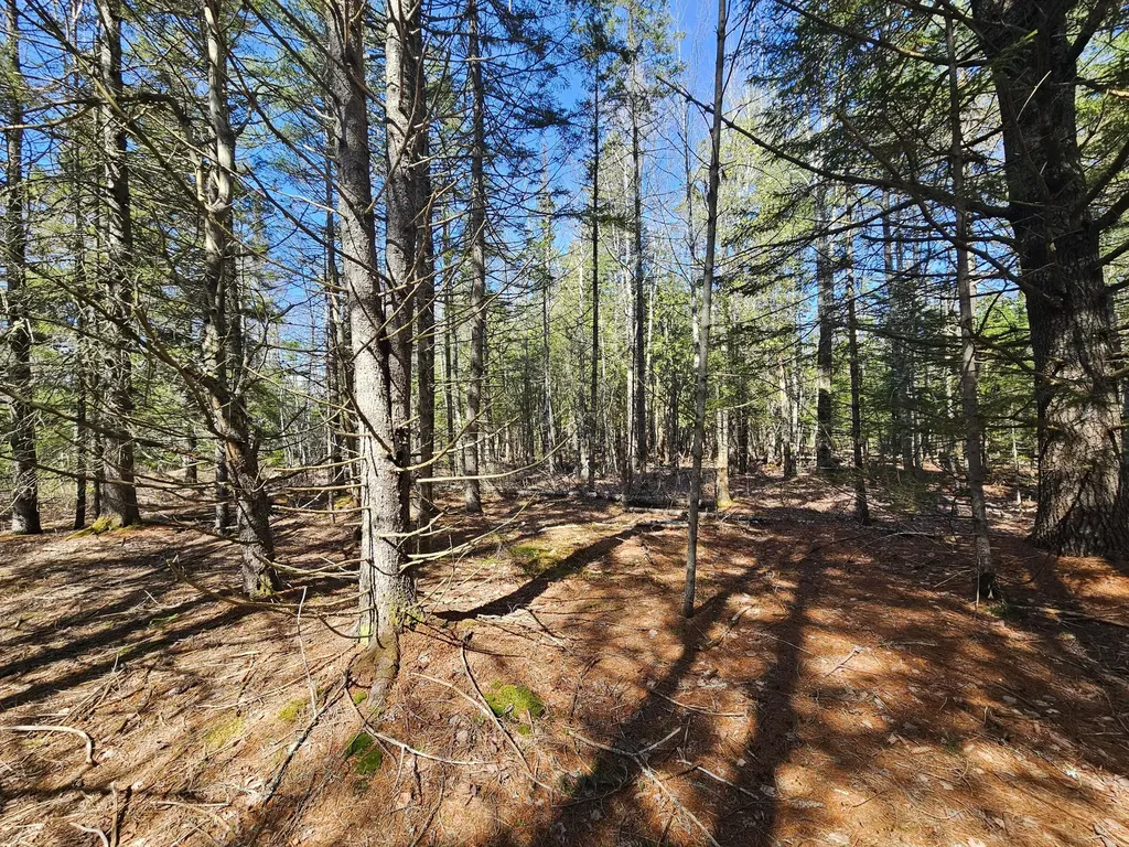 83 Willey District Road Harrington ME 04643