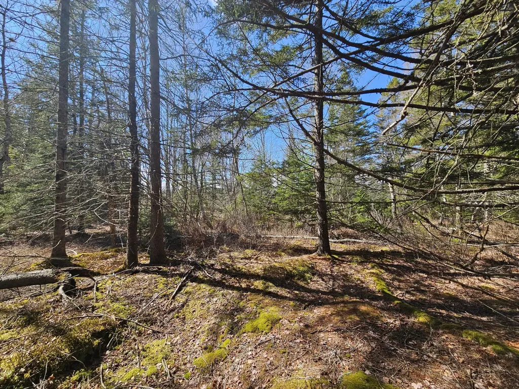 83 Willey District Road Harrington ME 04643