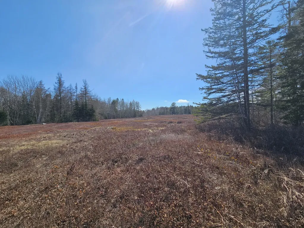 83 Willey District Road Harrington ME 04643