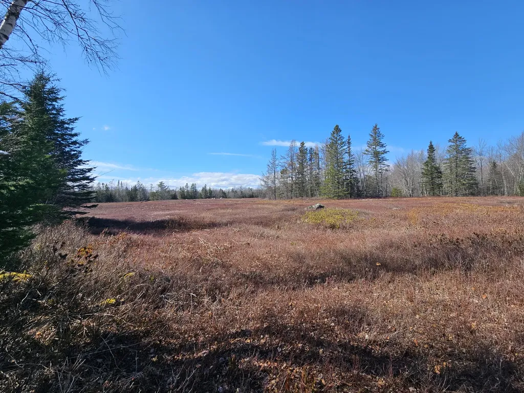 83 Willey District Road Harrington ME 04643