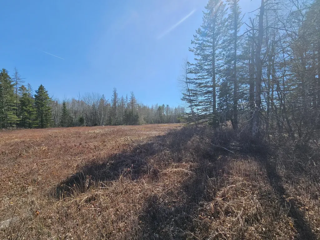 83 Willey District Road Harrington ME 04643