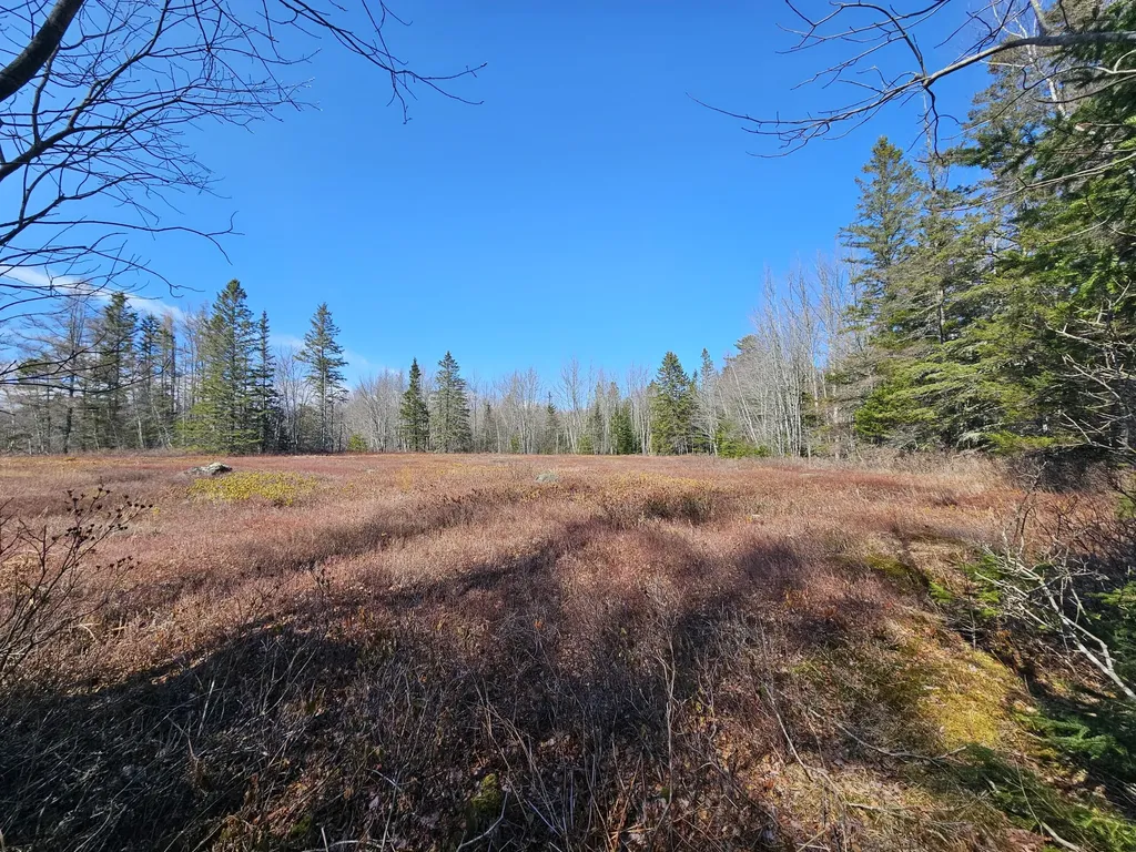83 Willey District Road Harrington ME 04643