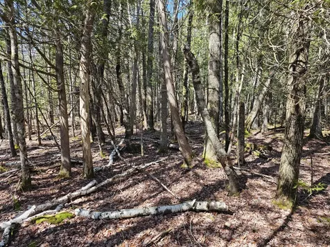 83 Willey District Road Harrington ME 04643
