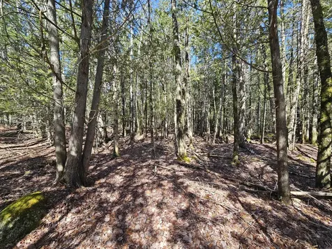 83 Willey District Road Harrington ME 04643