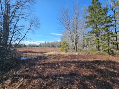83 Willey District Road Harrington ME 04643