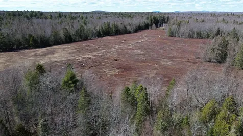 83 Willey District Road Harrington ME 04643