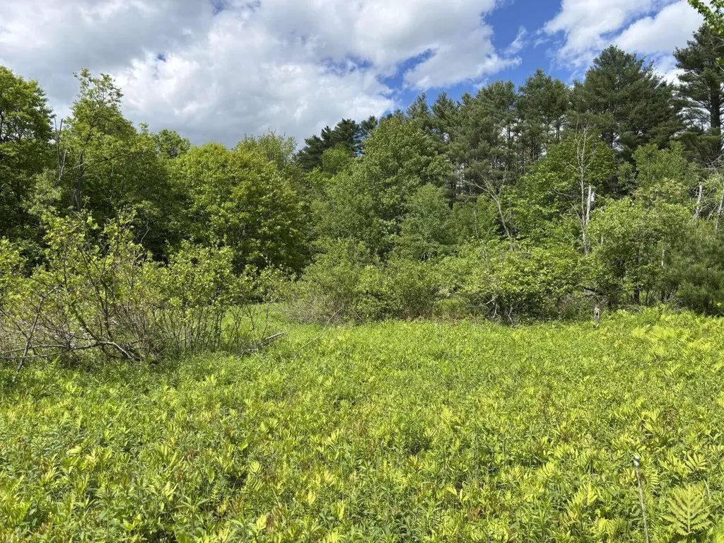 Lot A River Road Leeds ME 04263