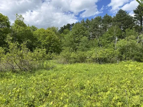 Lot A River Road Leeds ME 04263