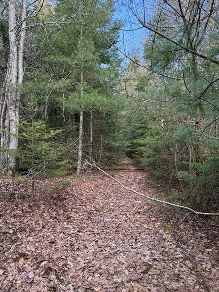 0 N Range Road N Blue Hill ME 04614