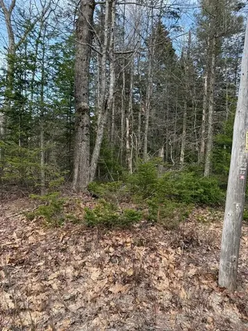 0 N Range Road N Blue Hill ME 04614