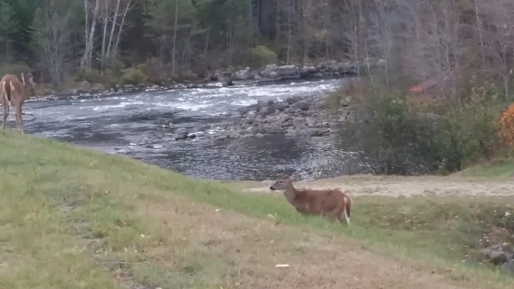 Lot C Middle Dam Rapids Township C ME 04216