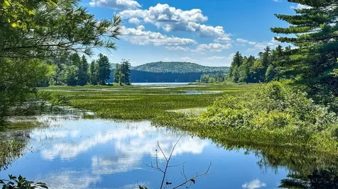 341 Narrow Gauge Trail Hiram ME 04041