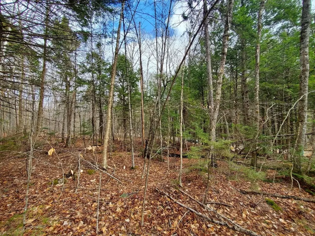 0 Sandy Beach Road Danforth ME 04424