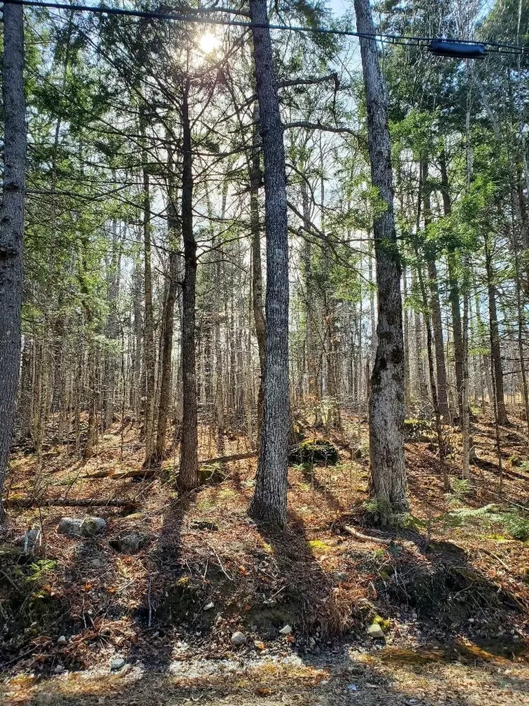 0 Sandy Beach Road Danforth ME 04424