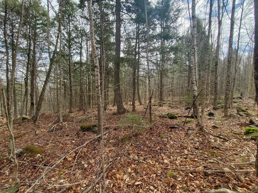 0 Sandy Beach Road Danforth ME 04424
