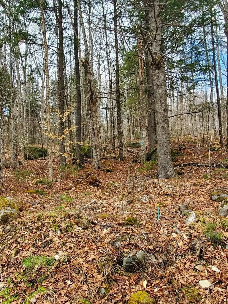 0 Sandy Beach Road Danforth ME 04424
