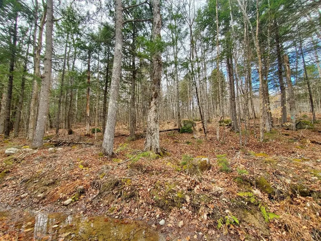0 Sandy Beach Road Danforth ME 04424