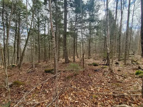 0 Sandy Beach Road Danforth ME 04424