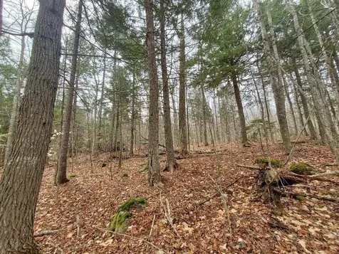 0 Sandy Beach Road Danforth ME 04424