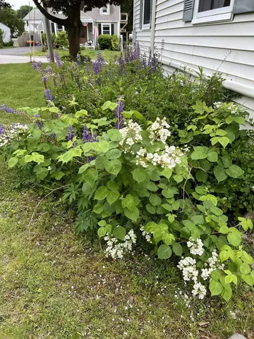 8 Meadow Way Cape Elizabeth ME 04107