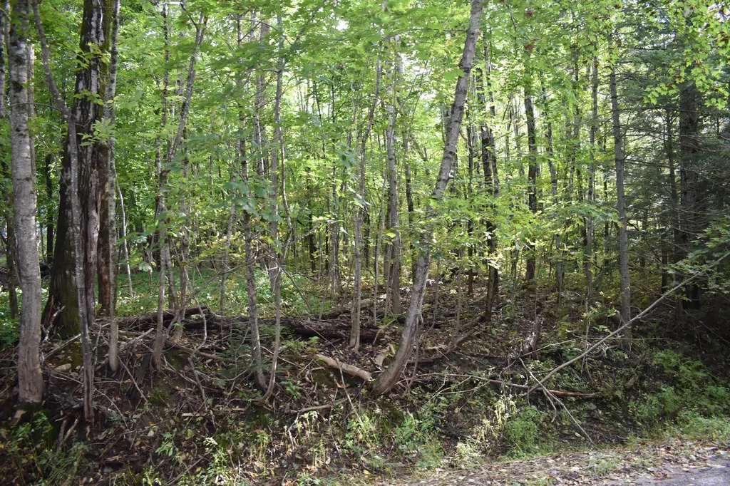 1 Lane Hill Road Lincoln ME 04457