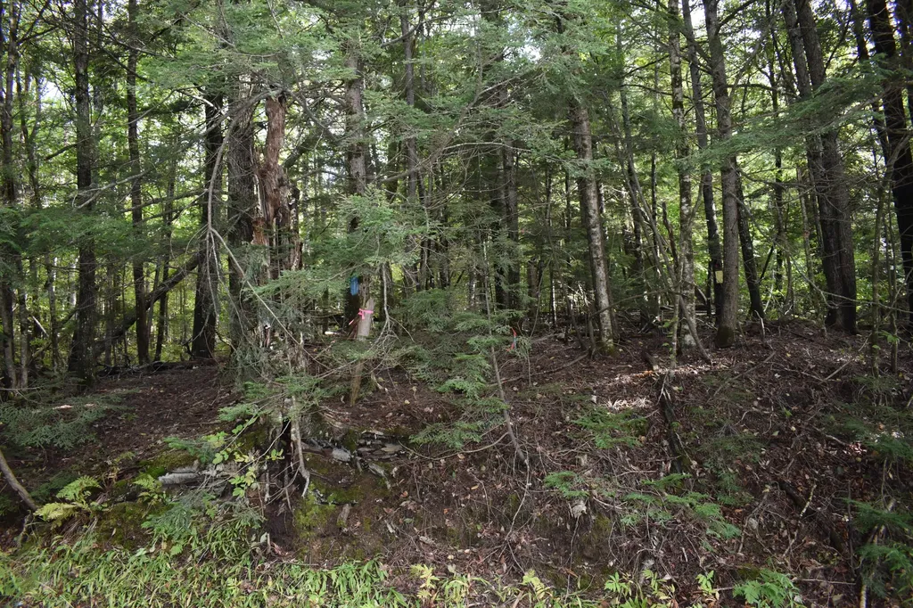 1 Lane Hill Road Lincoln ME 04457