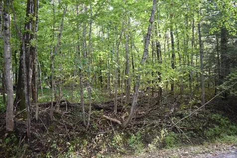 1 Lane Hill Road Lincoln ME 04457