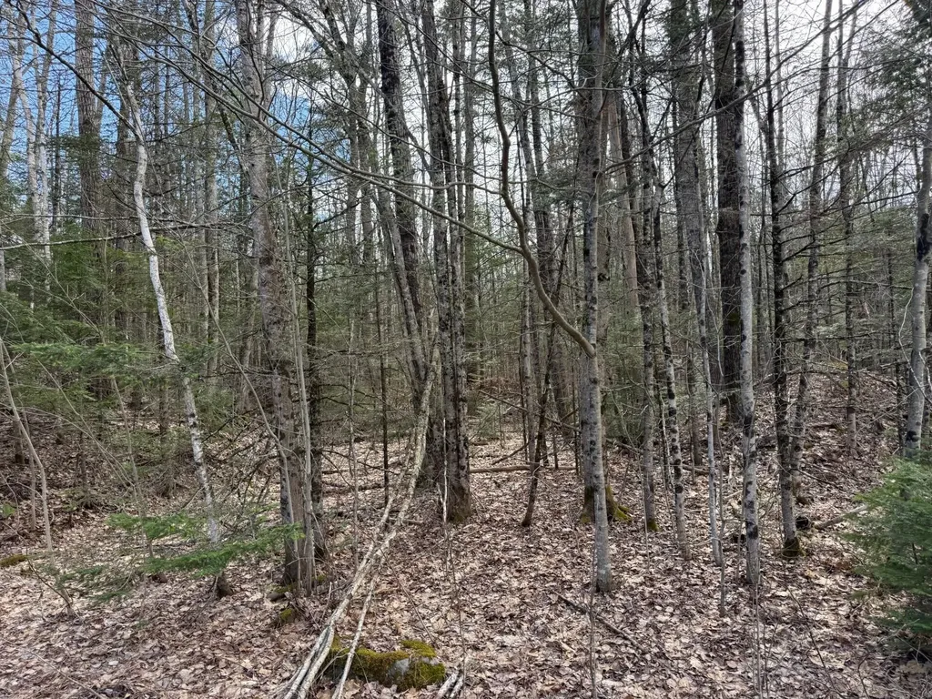 864 Winslows Mills Road Waldoboro ME 04572