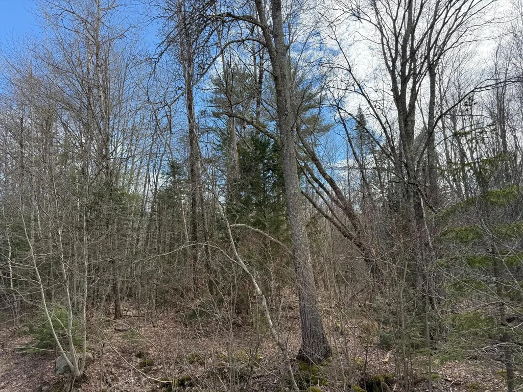 872 Winslows Mills Road Waldoboro ME 04572