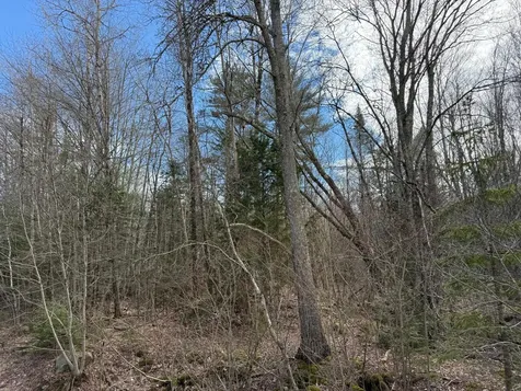 872 Winslows Mills Road Waldoboro ME 04572