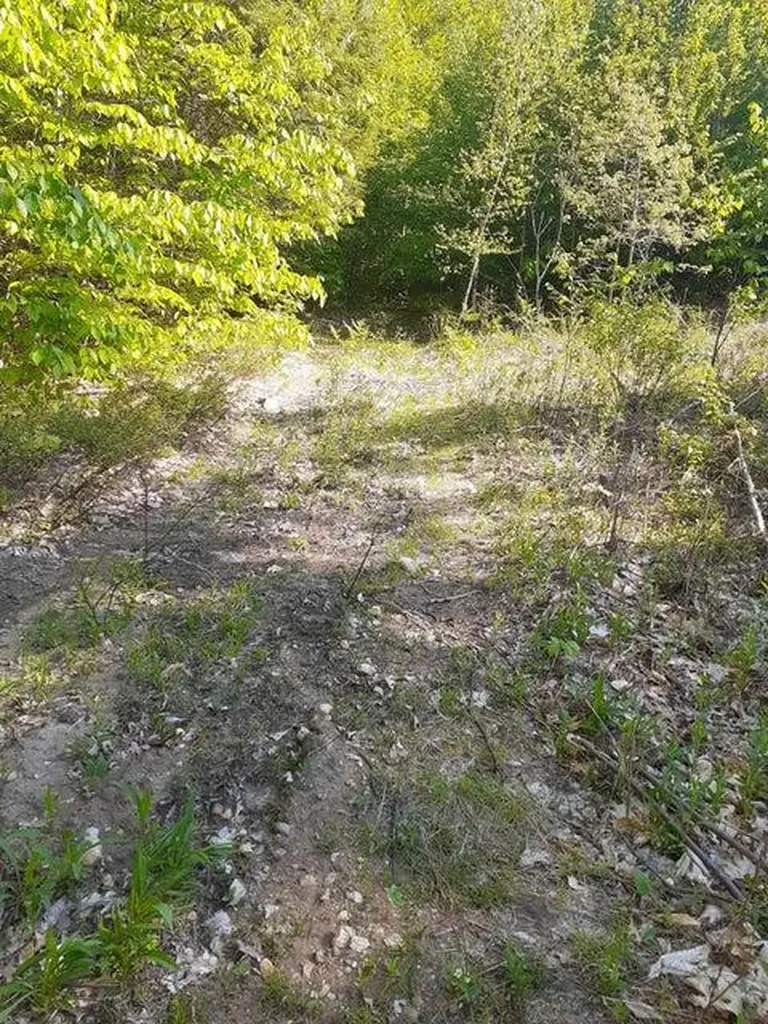 R05-0023 Tripptown Road Hiram ME 04041
