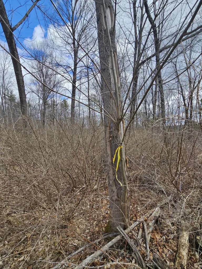 Lot 113-2 Cushman Road Winslow ME 04901