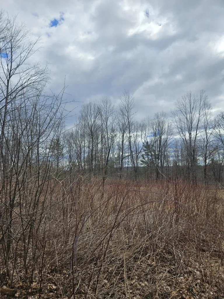 Lot 113-2 Cushman Road Winslow ME 04901