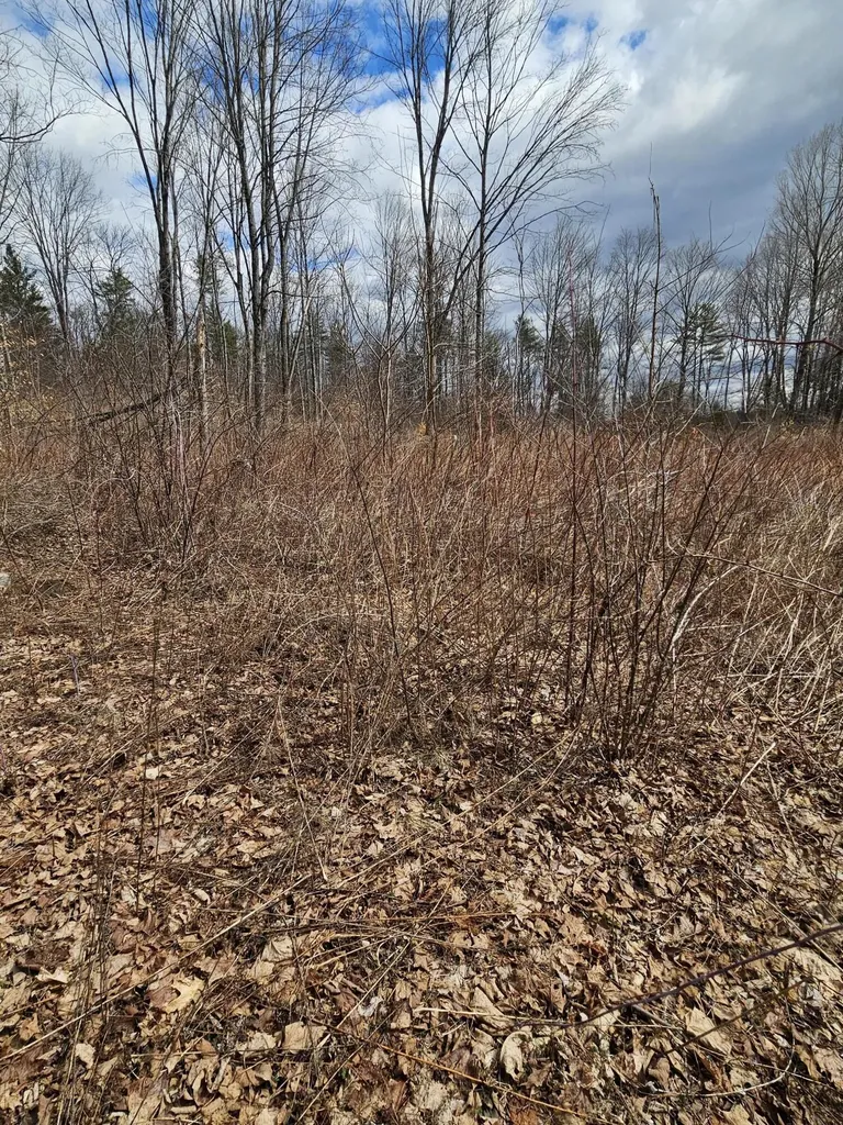 Lot 113-2 Cushman Road Winslow ME 04901