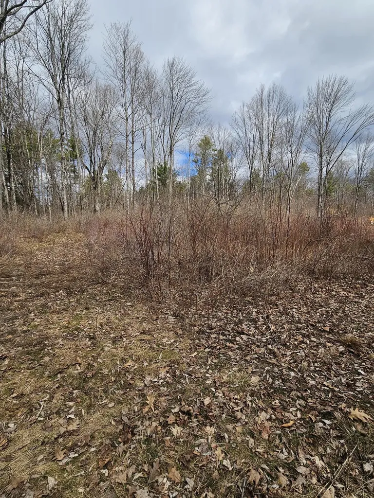 Lot 113-2 Cushman Road Winslow ME 04901