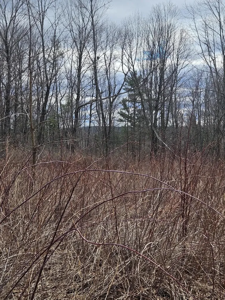 Lot 113-2 Cushman Road Winslow ME 04901