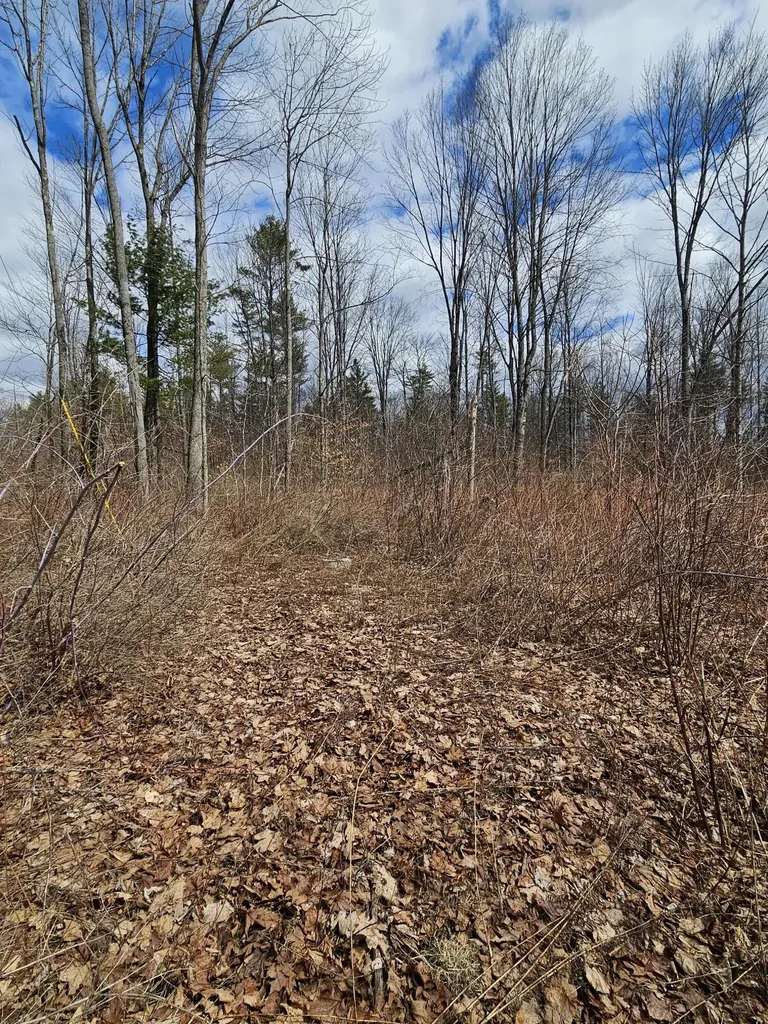 Lot 113-2 Cushman Road Winslow ME 04901