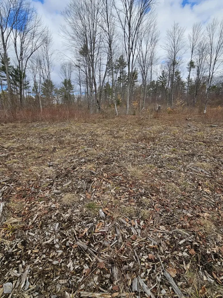 Lot 113-2 Cushman Road Winslow ME 04901