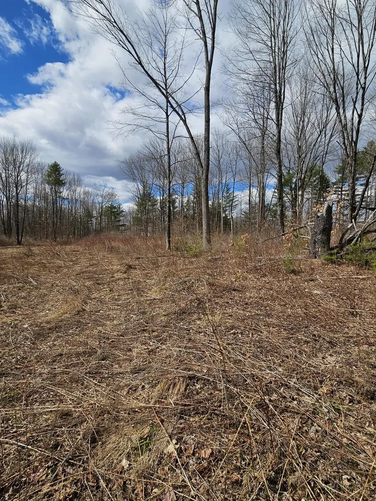 Lot 113-2 Cushman Road Winslow ME 04901