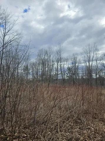 Lot 113-2 Cushman Road Winslow ME 04901