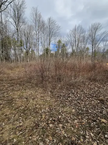 Lot 113-2 Cushman Road Winslow ME 04901