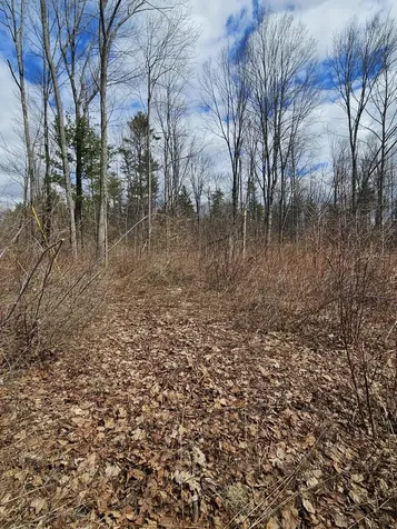 Lot 113-2 Cushman Road Winslow ME 04901