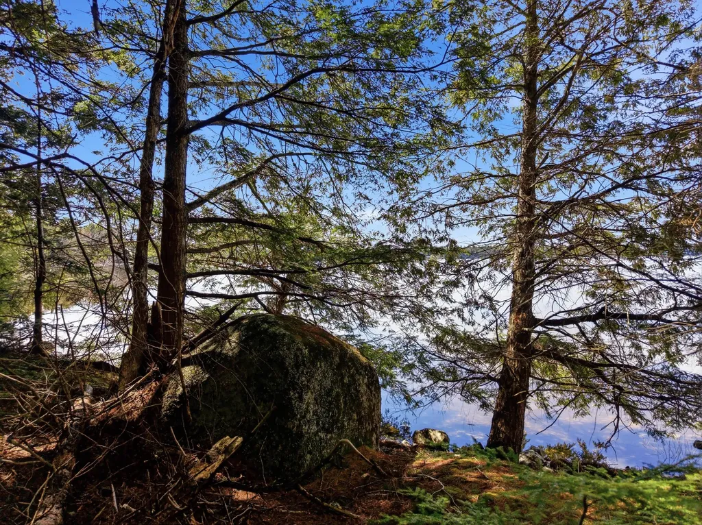 20 Moose Trail Waltham ME 04605